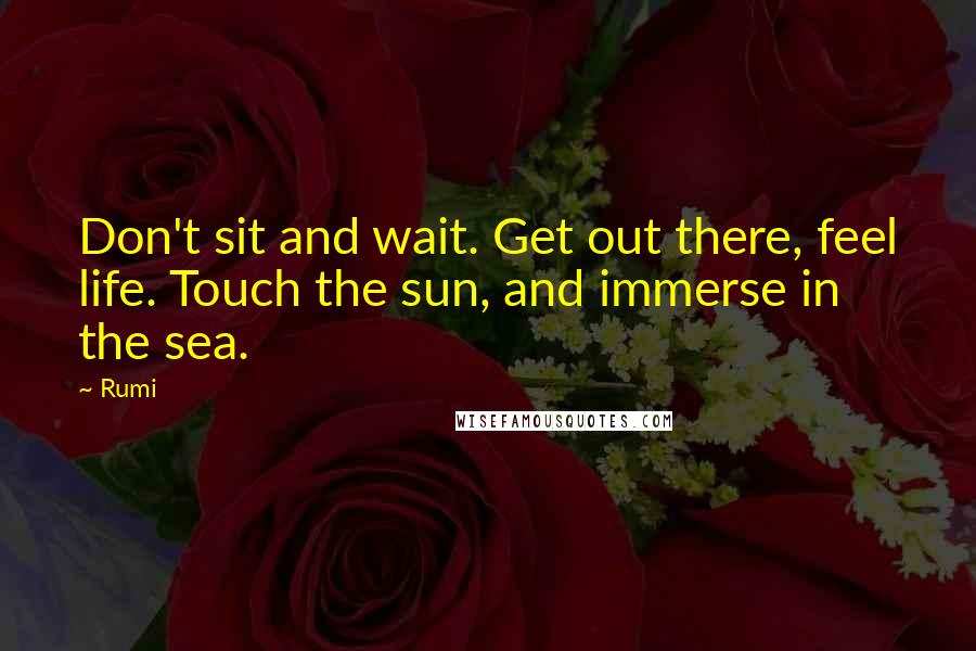 Rumi Quotes: Don't sit and wait. Get out there, feel life. Touch the sun, and immerse in the sea.