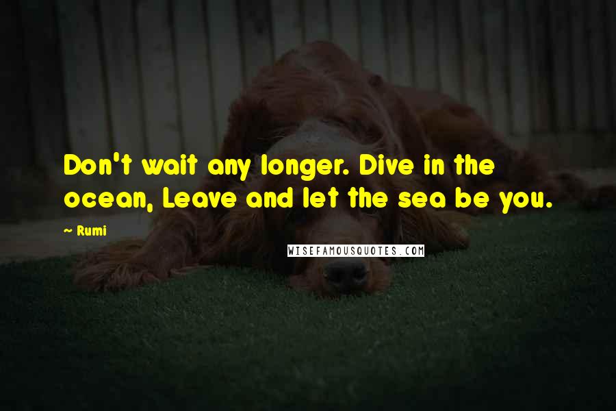 Rumi Quotes: Don't wait any longer. Dive in the ocean, Leave and let the sea be you.