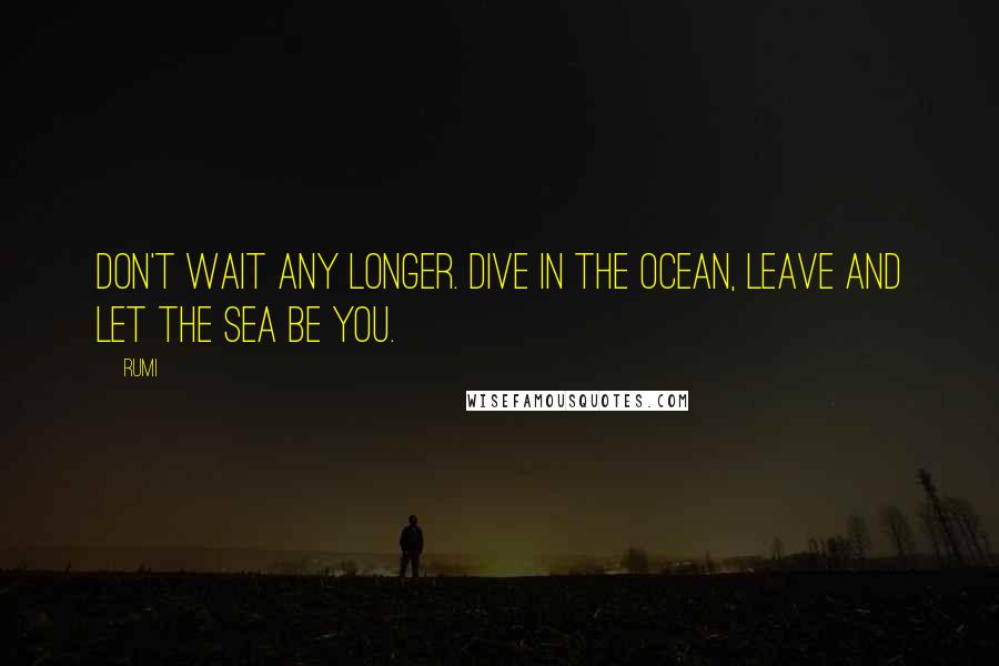 Rumi Quotes: Don't wait any longer. Dive in the ocean, Leave and let the sea be you.