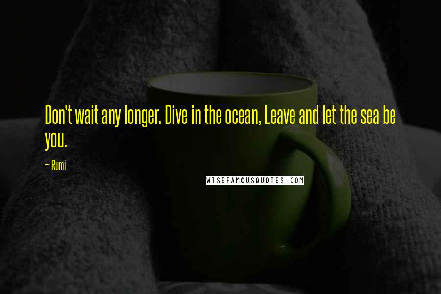 Rumi Quotes: Don't wait any longer. Dive in the ocean, Leave and let the sea be you.