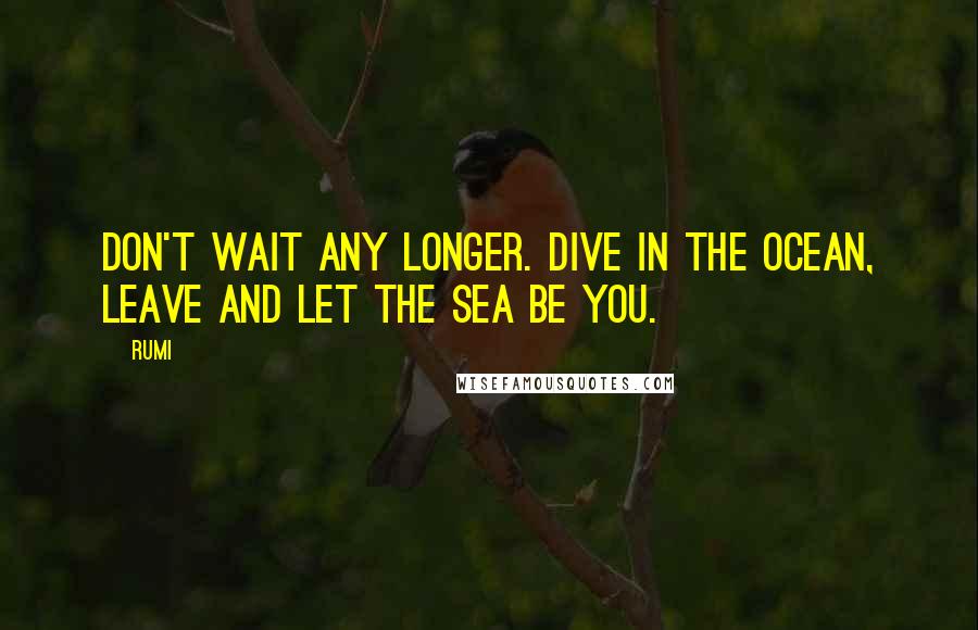 Rumi Quotes: Don't wait any longer. Dive in the ocean, Leave and let the sea be you.