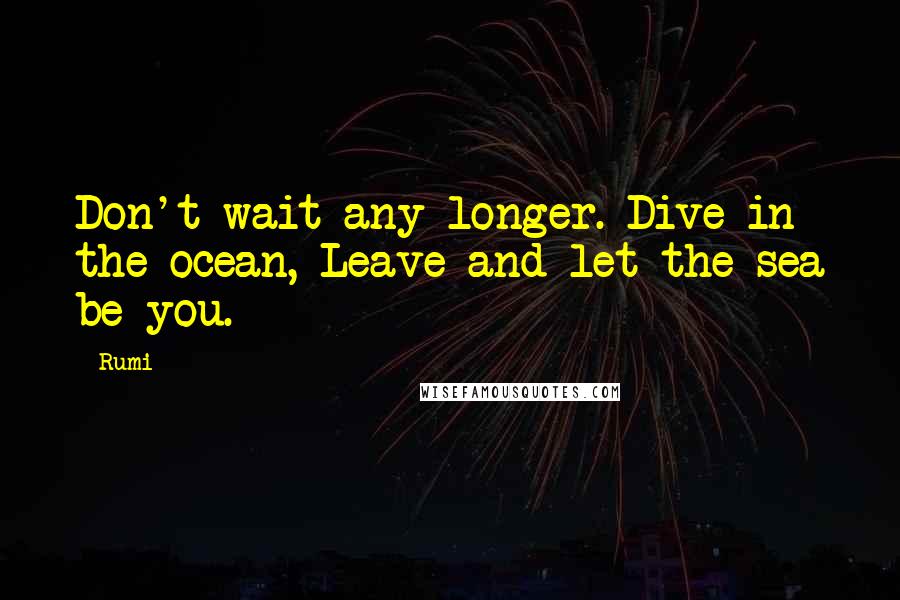 Rumi Quotes: Don't wait any longer. Dive in the ocean, Leave and let the sea be you.