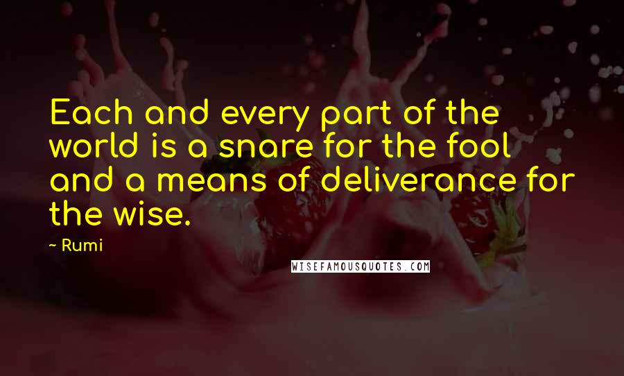 Rumi Quotes: Each and every part of the world is a snare for the fool and a means of deliverance for the wise.