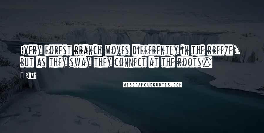 Rumi Quotes: Every forest branch moves differently in the breeze, but as they sway they connect at the roots.