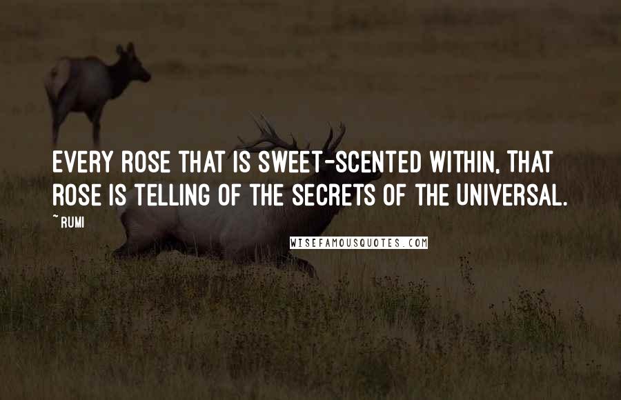 Rumi Quotes: Every rose that is sweet-scented within, That rose is telling of the secrets of the Universal.
