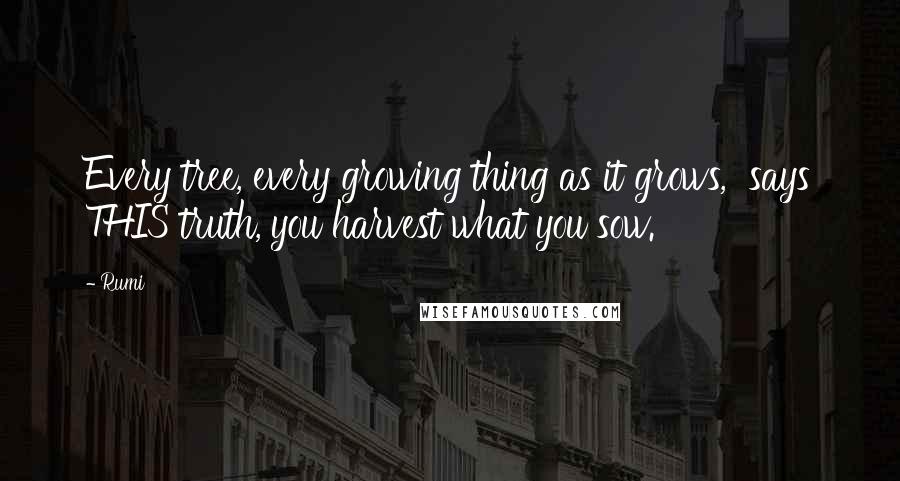 Rumi Quotes: Every tree, every growing thing as it grows, says THIS truth, you harvest what you sow.