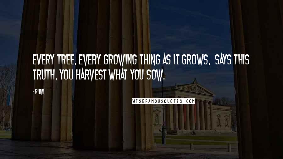 Rumi Quotes: Every tree, every growing thing as it grows,  says THIS truth, you harvest what you sow.