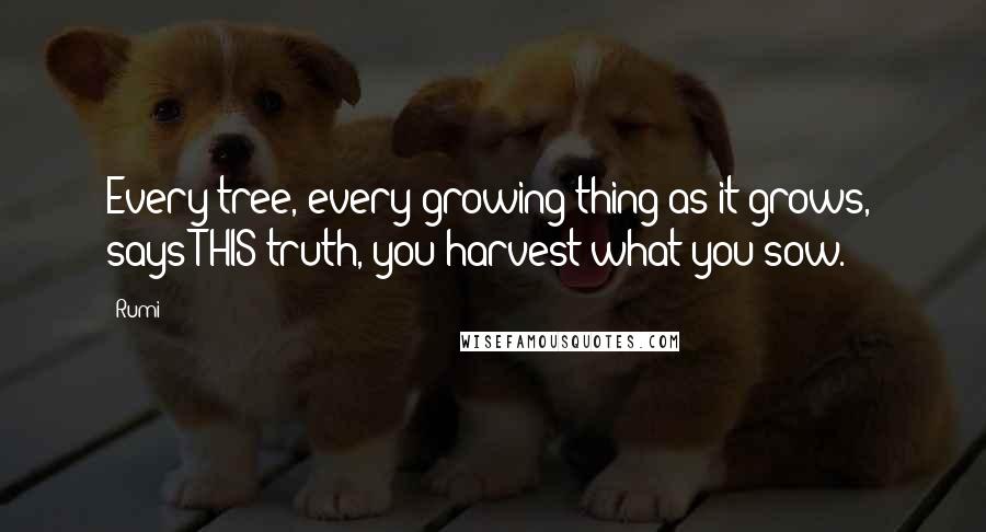 Rumi Quotes: Every tree, every growing thing as it grows,  says THIS truth, you harvest what you sow.
