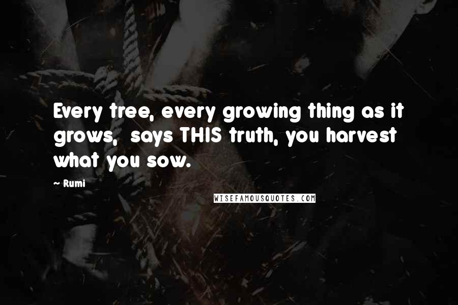 Rumi Quotes: Every tree, every growing thing as it grows,  says THIS truth, you harvest what you sow.