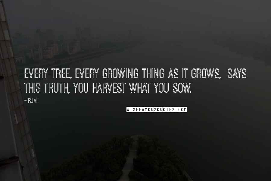 Rumi Quotes: Every tree, every growing thing as it grows,  says THIS truth, you harvest what you sow.