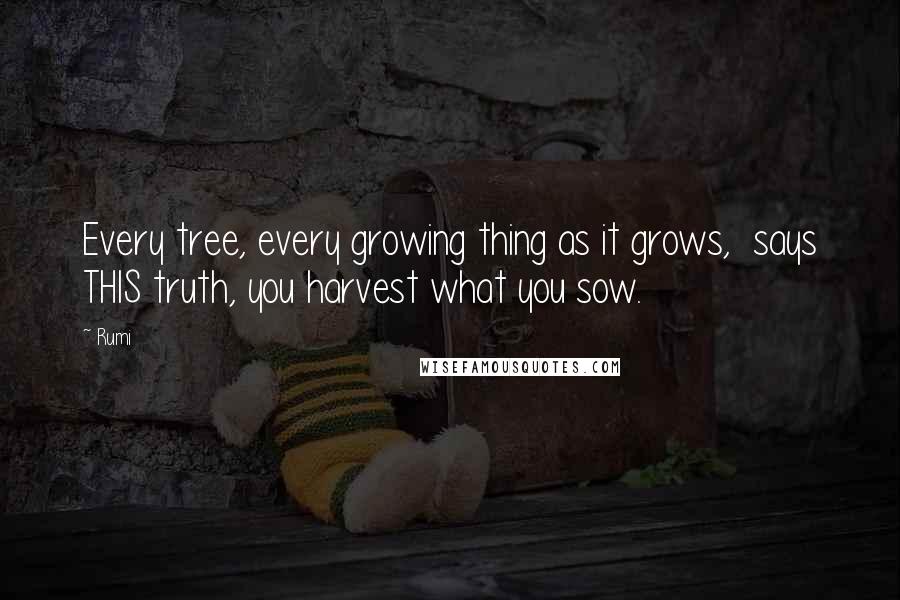 Rumi Quotes: Every tree, every growing thing as it grows,  says THIS truth, you harvest what you sow.