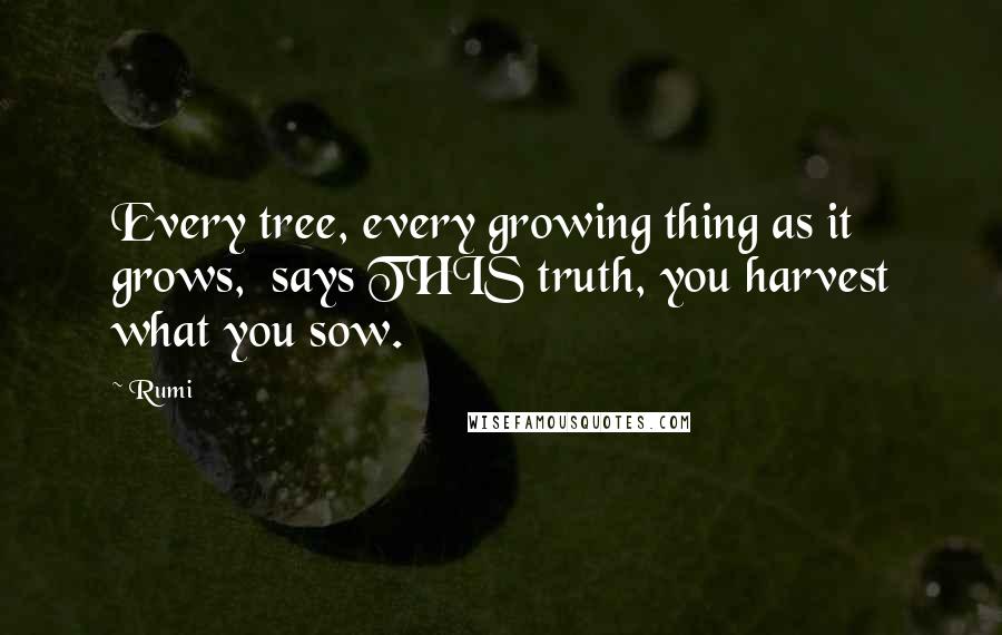 Rumi Quotes: Every tree, every growing thing as it grows,  says THIS truth, you harvest what you sow.