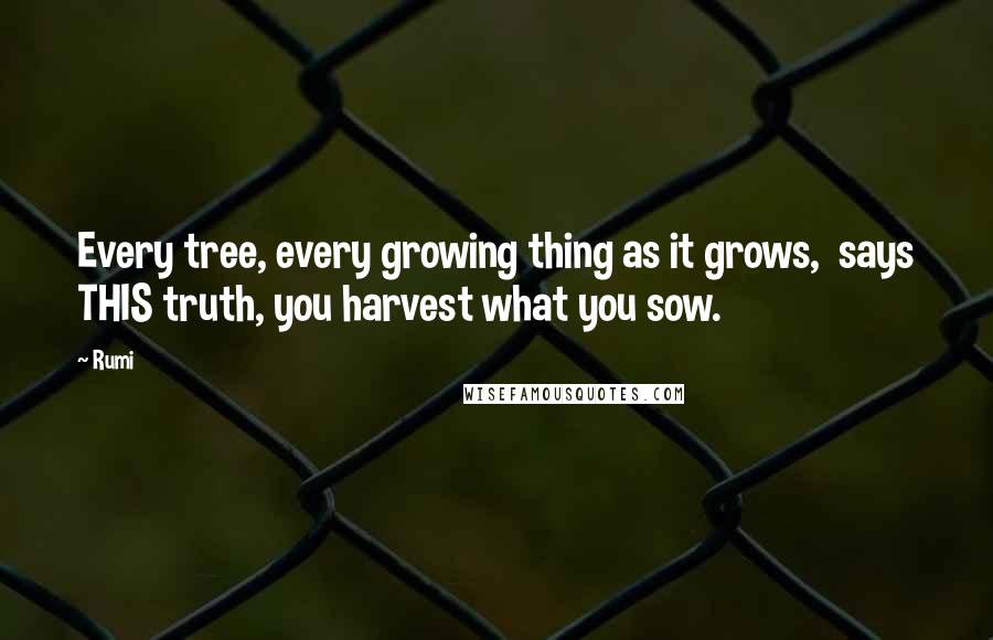 Rumi Quotes: Every tree, every growing thing as it grows,  says THIS truth, you harvest what you sow.