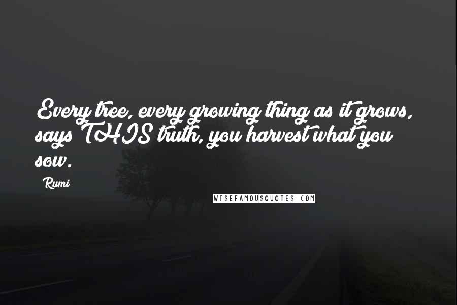 Rumi Quotes: Every tree, every growing thing as it grows,  says THIS truth, you harvest what you sow.