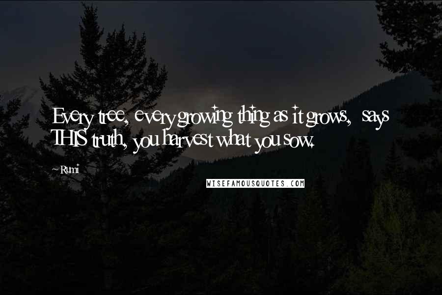 Rumi Quotes: Every tree, every growing thing as it grows,  says THIS truth, you harvest what you sow.