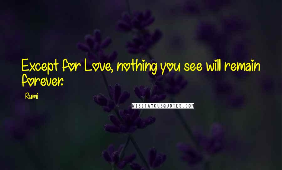 Rumi Quotes: Except for Love, nothing you see will remain forever.