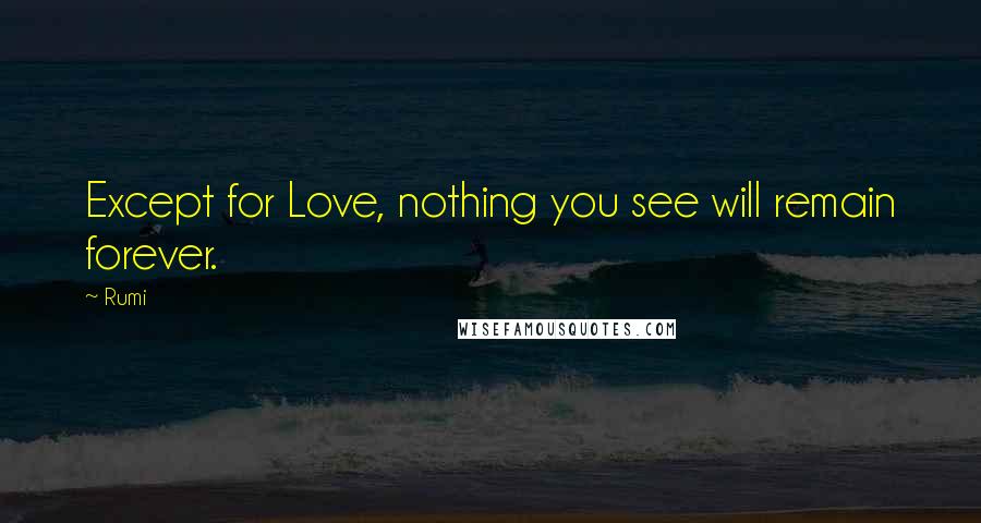 Rumi Quotes: Except for Love, nothing you see will remain forever.