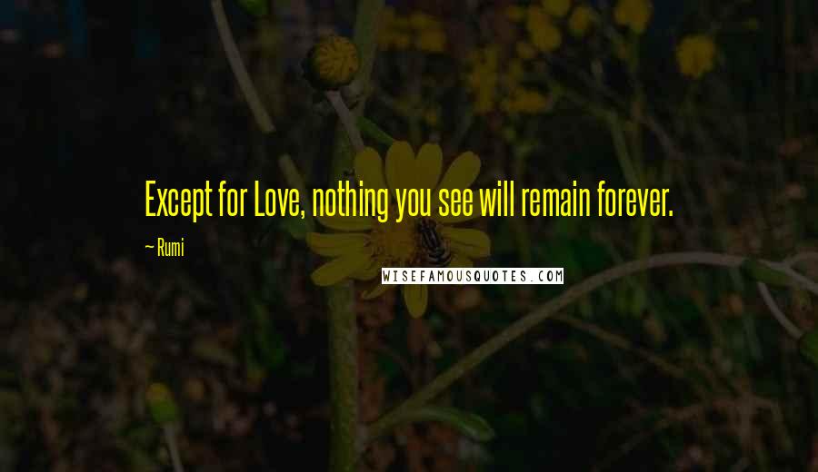 Rumi Quotes: Except for Love, nothing you see will remain forever.