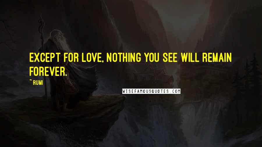 Rumi Quotes: Except for Love, nothing you see will remain forever.