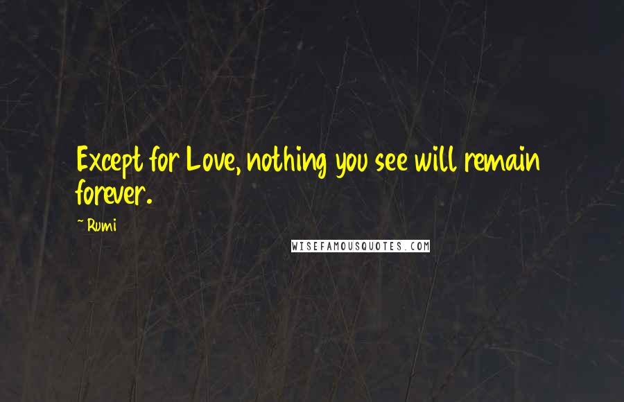 Rumi Quotes: Except for Love, nothing you see will remain forever.