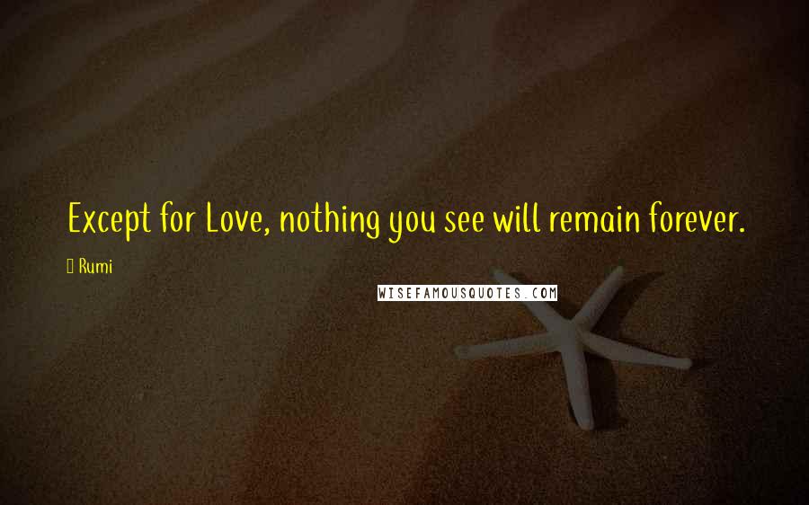 Rumi Quotes: Except for Love, nothing you see will remain forever.