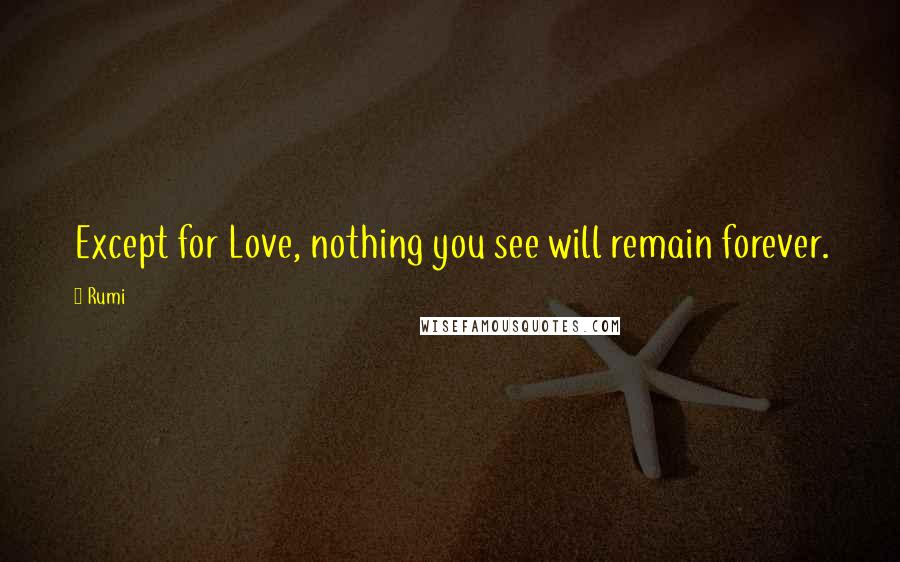 Rumi Quotes: Except for Love, nothing you see will remain forever.