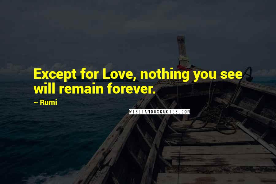 Rumi Quotes: Except for Love, nothing you see will remain forever.