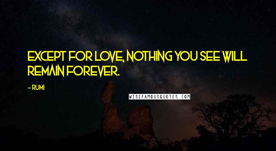 Rumi Quotes: Except for Love, nothing you see will remain forever.