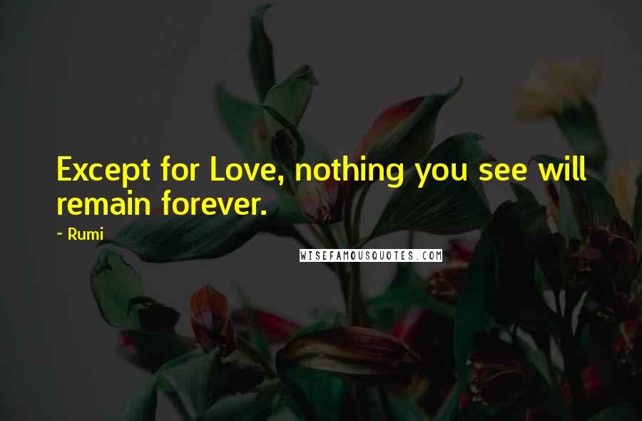 Rumi Quotes: Except for Love, nothing you see will remain forever.