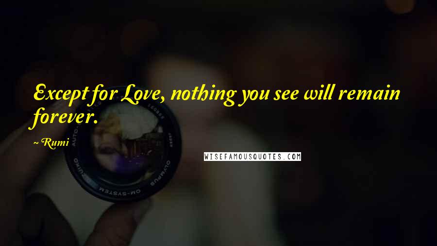 Rumi Quotes: Except for Love, nothing you see will remain forever.