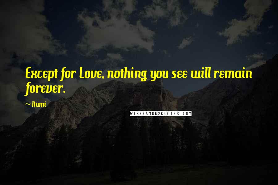Rumi Quotes: Except for Love, nothing you see will remain forever.
