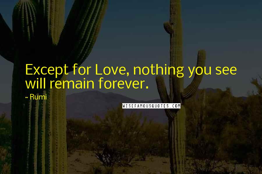 Rumi Quotes: Except for Love, nothing you see will remain forever.