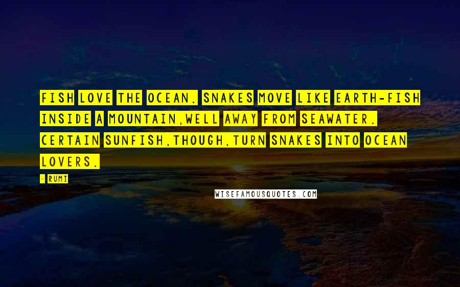 Rumi Quotes: Fish love the ocean. Snakes move like earth-fish inside a mountain,well away from seawater. Certain sunfish,though,turn snakes into ocean lovers.