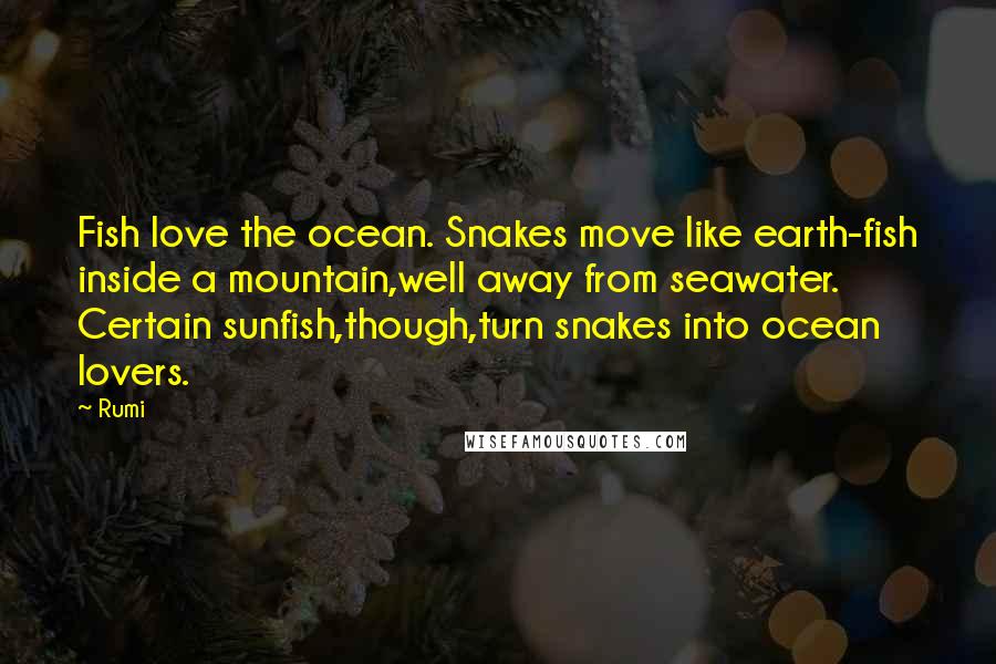 Rumi Quotes: Fish love the ocean. Snakes move like earth-fish inside a mountain,well away from seawater. Certain sunfish,though,turn snakes into ocean lovers.