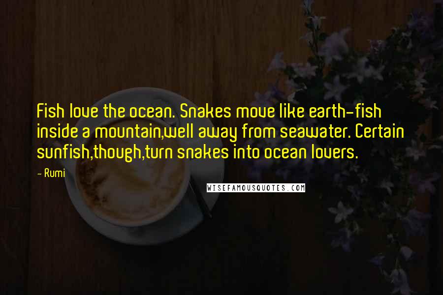 Rumi Quotes: Fish love the ocean. Snakes move like earth-fish inside a mountain,well away from seawater. Certain sunfish,though,turn snakes into ocean lovers.