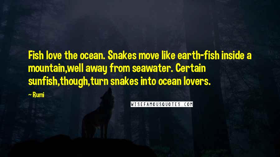 Rumi Quotes: Fish love the ocean. Snakes move like earth-fish inside a mountain,well away from seawater. Certain sunfish,though,turn snakes into ocean lovers.