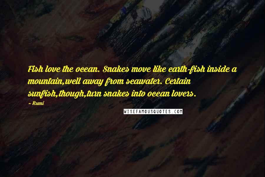 Rumi Quotes: Fish love the ocean. Snakes move like earth-fish inside a mountain,well away from seawater. Certain sunfish,though,turn snakes into ocean lovers.