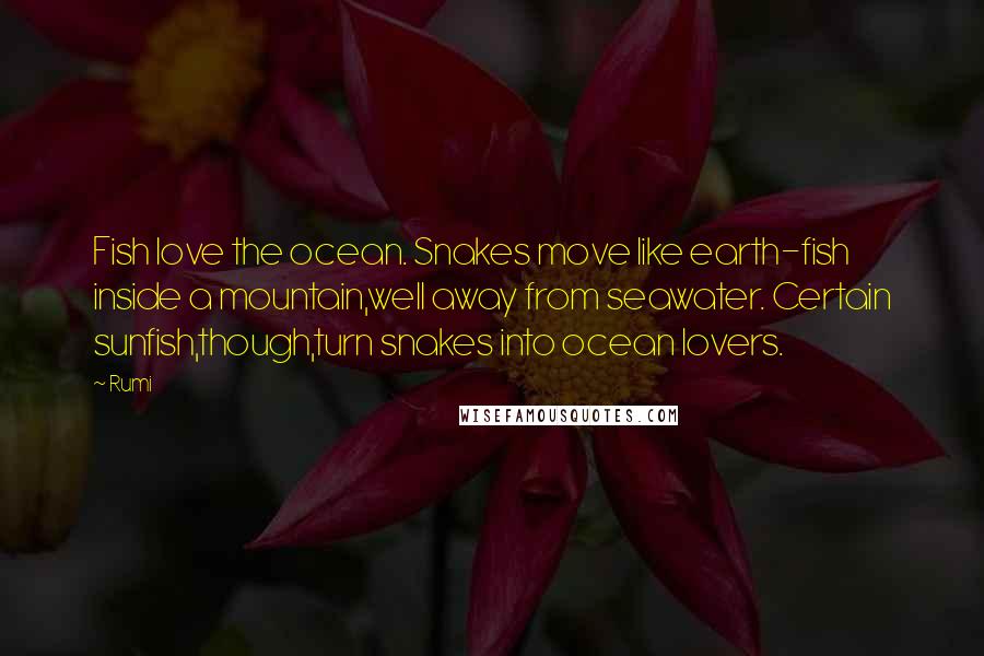 Rumi Quotes: Fish love the ocean. Snakes move like earth-fish inside a mountain,well away from seawater. Certain sunfish,though,turn snakes into ocean lovers.