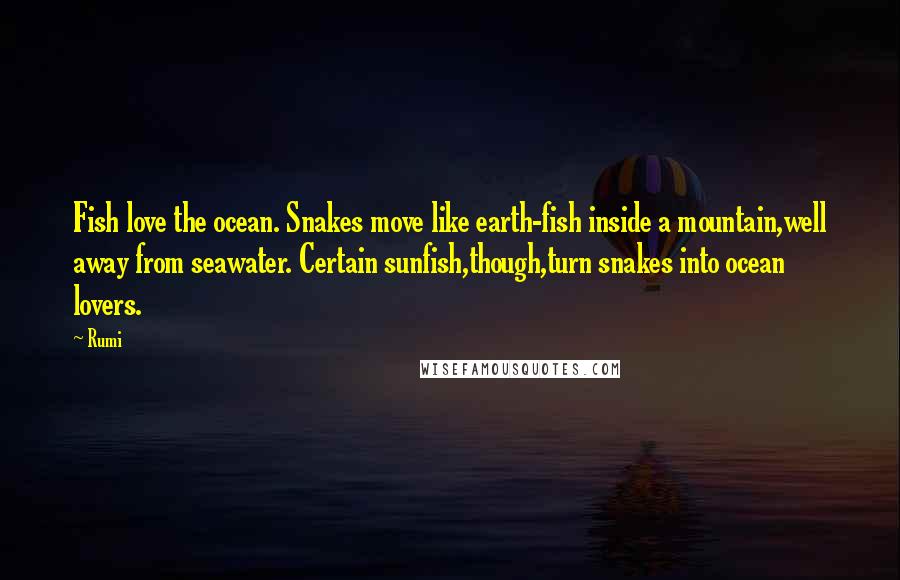 Rumi Quotes: Fish love the ocean. Snakes move like earth-fish inside a mountain,well away from seawater. Certain sunfish,though,turn snakes into ocean lovers.