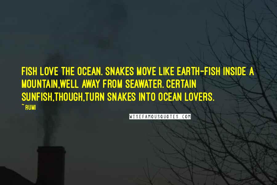 Rumi Quotes: Fish love the ocean. Snakes move like earth-fish inside a mountain,well away from seawater. Certain sunfish,though,turn snakes into ocean lovers.