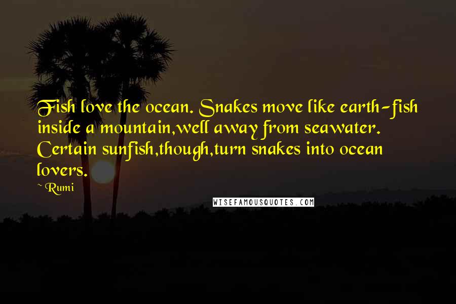 Rumi Quotes: Fish love the ocean. Snakes move like earth-fish inside a mountain,well away from seawater. Certain sunfish,though,turn snakes into ocean lovers.