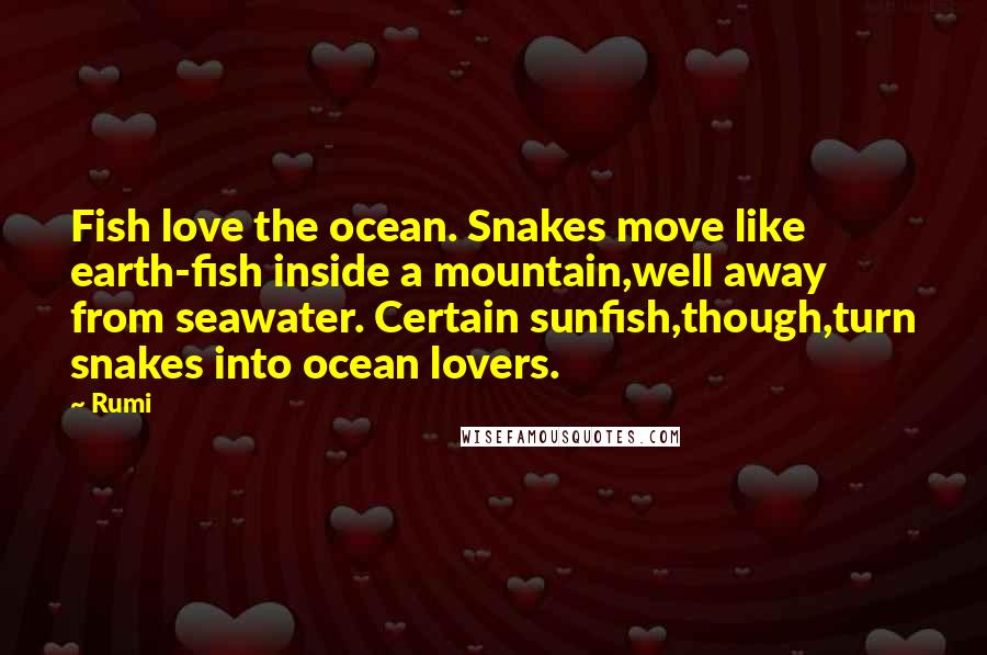 Rumi Quotes: Fish love the ocean. Snakes move like earth-fish inside a mountain,well away from seawater. Certain sunfish,though,turn snakes into ocean lovers.