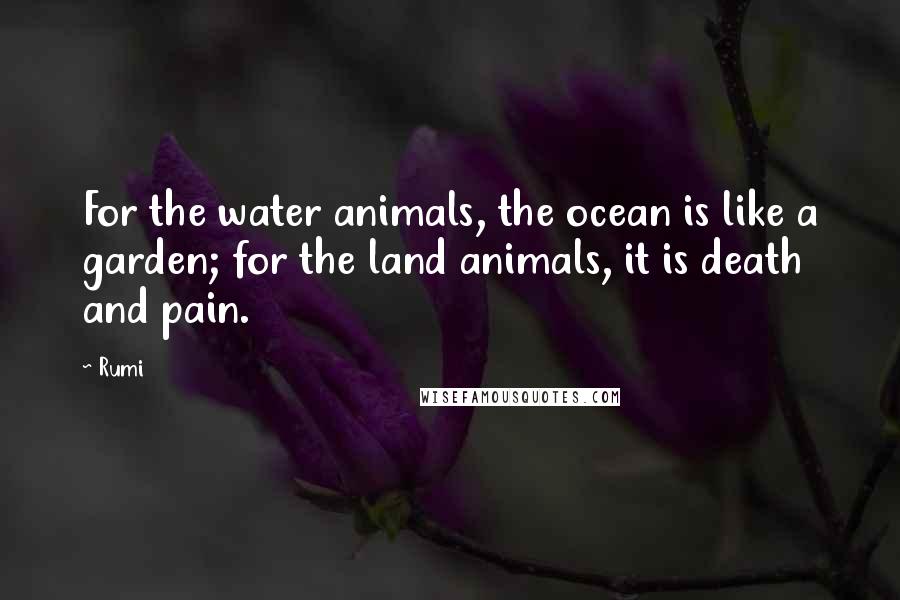 Rumi Quotes: For the water animals, the ocean is like a garden; for the land animals, it is death and pain.