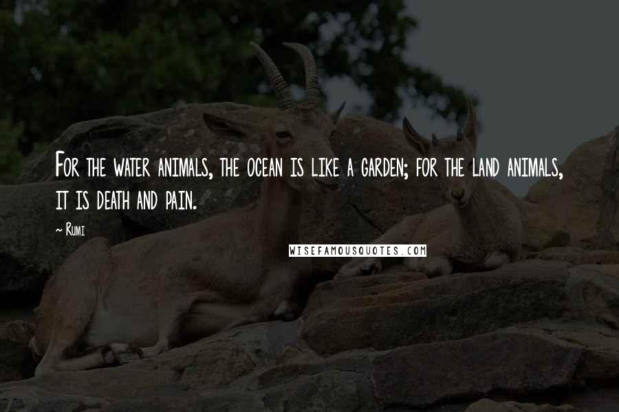 Rumi Quotes: For the water animals, the ocean is like a garden; for the land animals, it is death and pain.