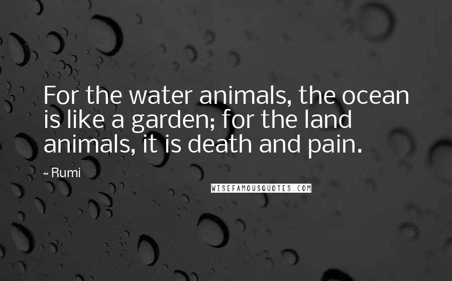 Rumi Quotes: For the water animals, the ocean is like a garden; for the land animals, it is death and pain.