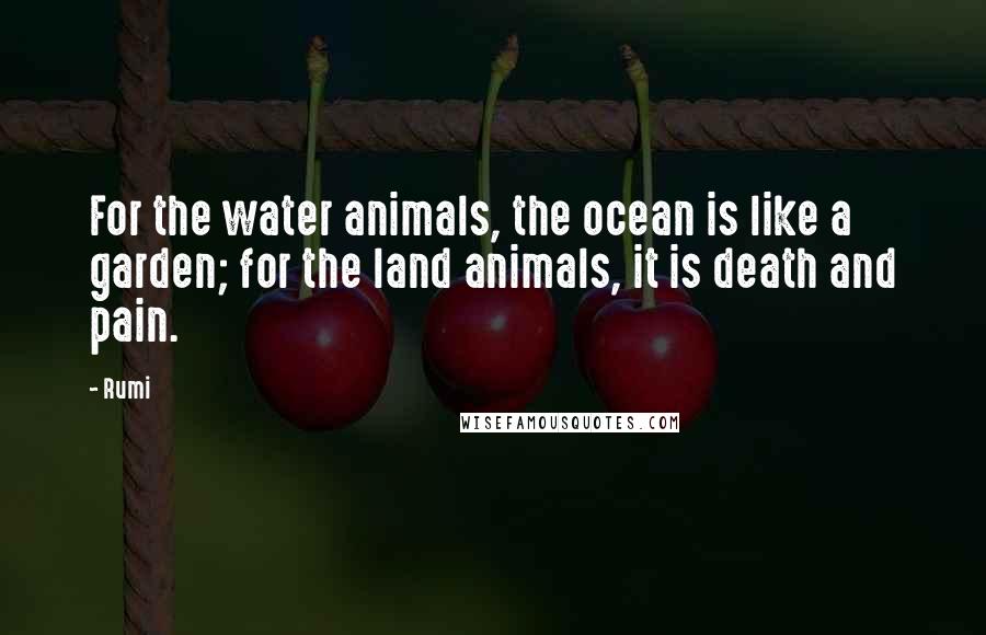 Rumi Quotes: For the water animals, the ocean is like a garden; for the land animals, it is death and pain.