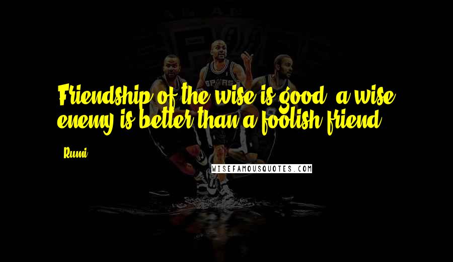 Rumi Quotes: Friendship of the wise is good; a wise enemy is better than a foolish friend.