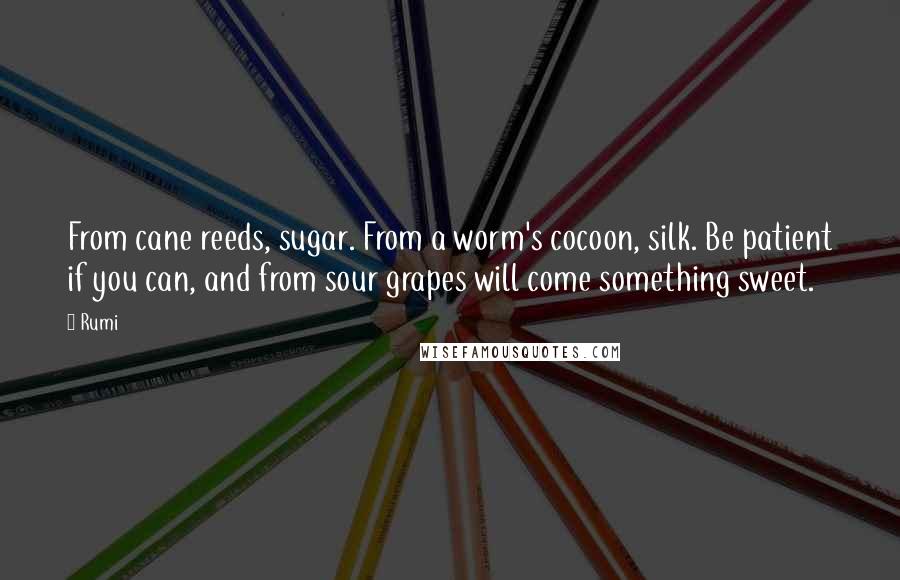 Rumi Quotes: From cane reeds, sugar. From a worm's cocoon, silk. Be patient if you can, and from sour grapes will come something sweet.