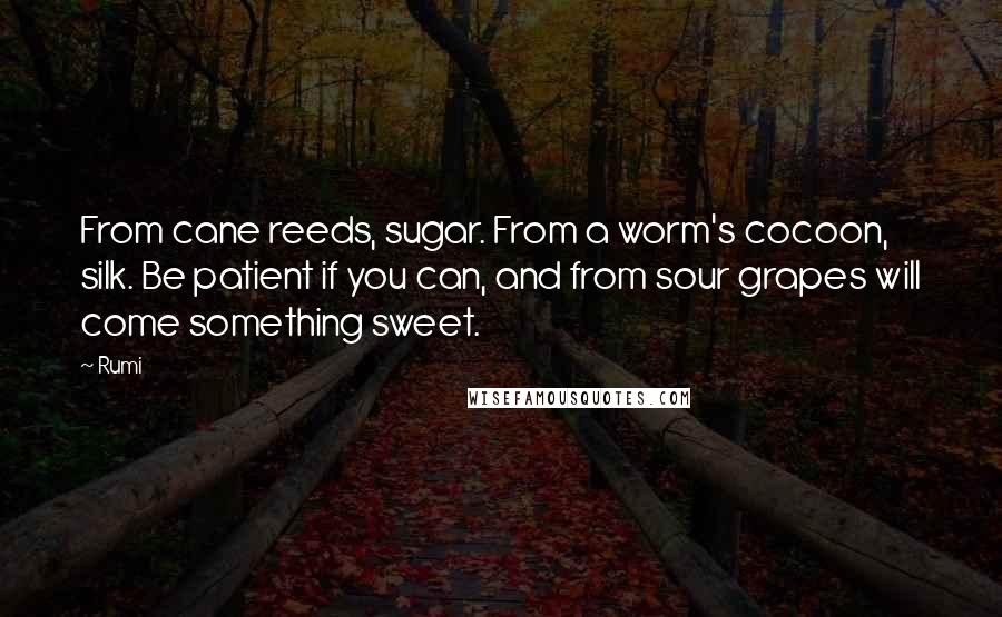 Rumi Quotes: From cane reeds, sugar. From a worm's cocoon, silk. Be patient if you can, and from sour grapes will come something sweet.