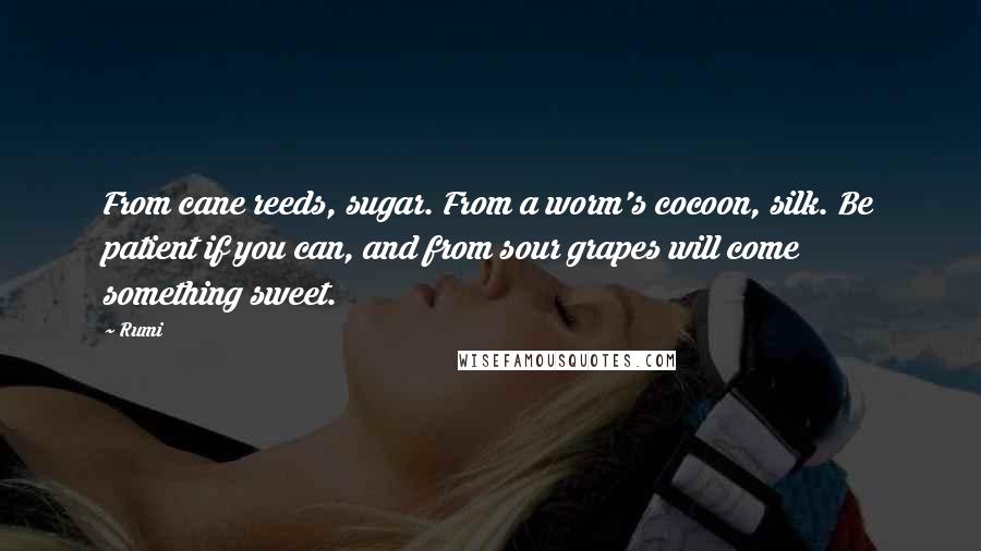 Rumi Quotes: From cane reeds, sugar. From a worm's cocoon, silk. Be patient if you can, and from sour grapes will come something sweet.